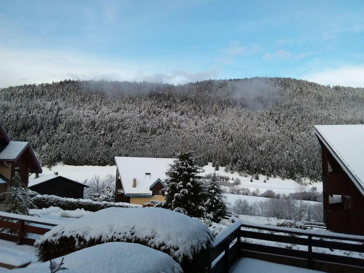 Charmant Duplex De 45M², 2 Chambres, Jardin, Garage, Villard-De-Lans - Fr-1-515-51 Exterior photo